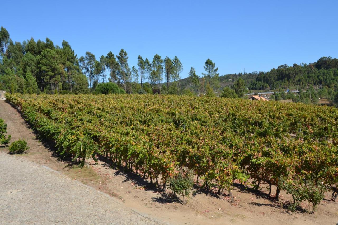 Quinta Do Medronheiro Hotel Rural Viseu Luaran gambar