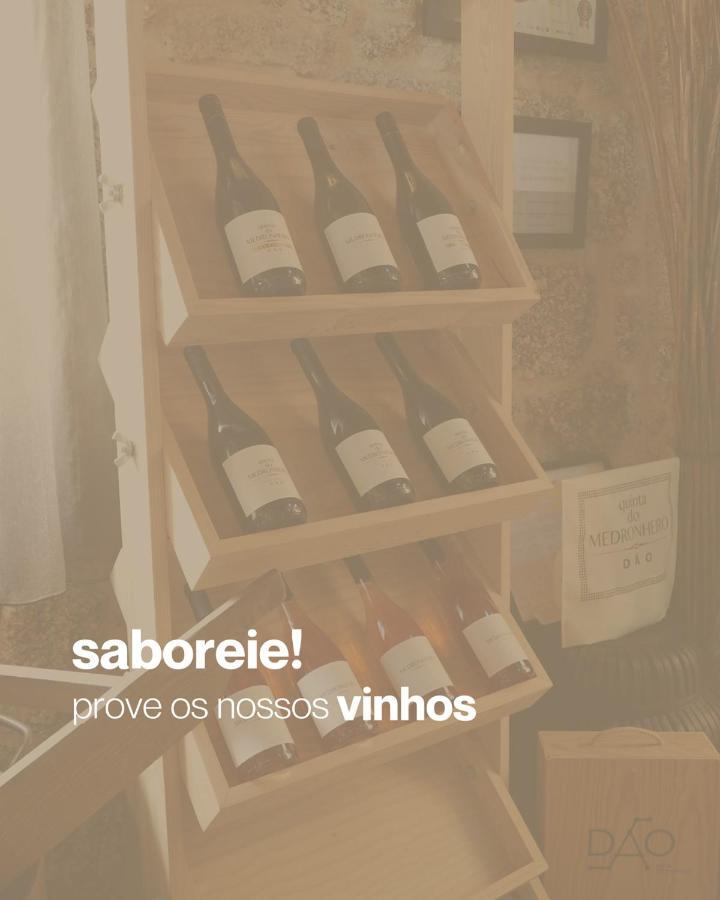 Quinta Do Medronheiro Hotel Rural Viseu Luaran gambar